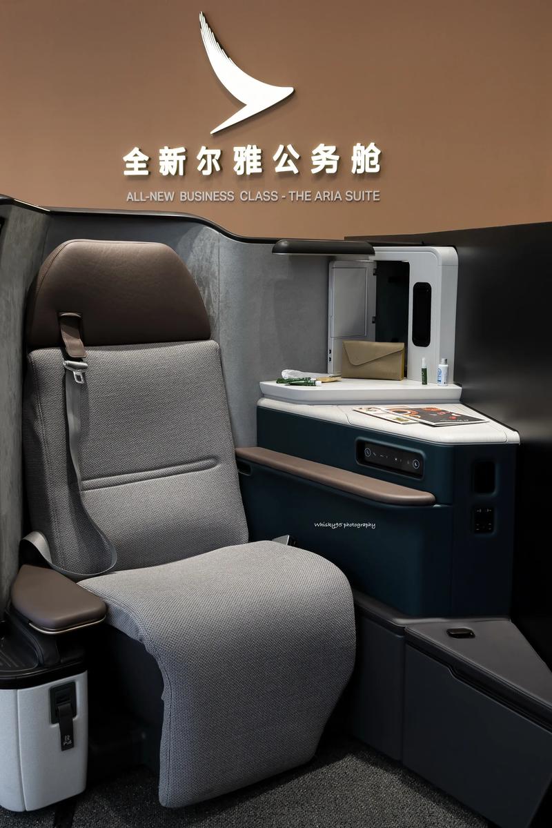 客舱巡游官网：探索绅士游戏的新领域与潜力