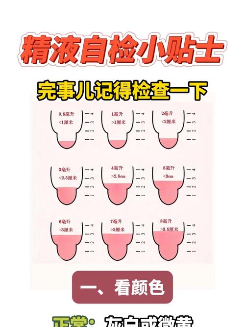 测量我的JING液下载安卓详细教程