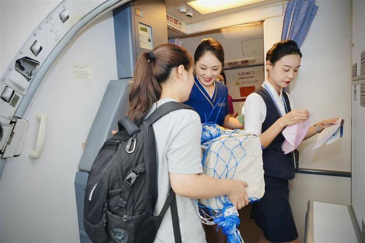 深入分析客舱巡游官方网站：未来趋势与市场动态