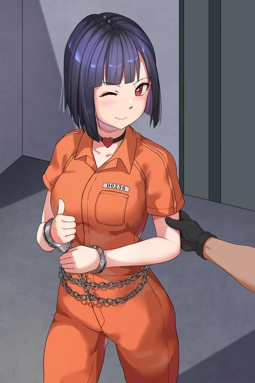 监狱女囚汉化版下载：深度分析与用户体验探讨