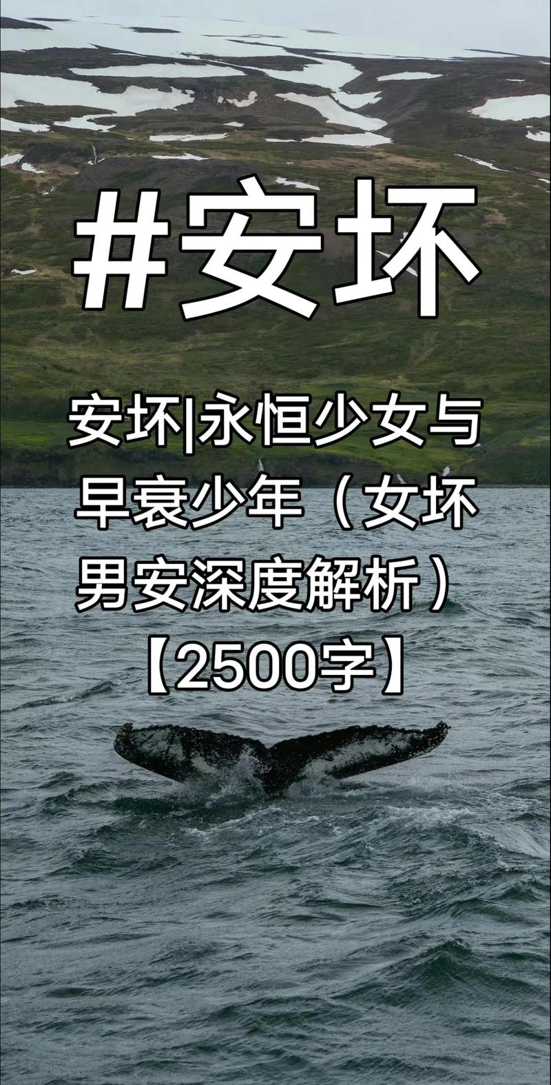 深度解析《永恒不再安卓》：在绅士游戏领域的新探索