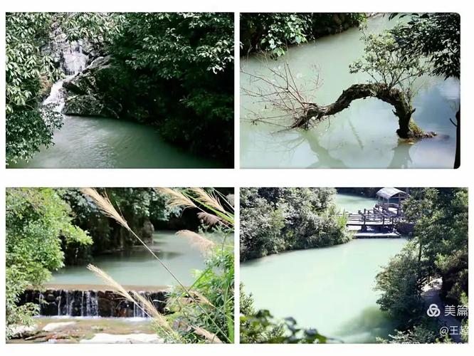 探秘风谷生活：下载与体验的全面指南