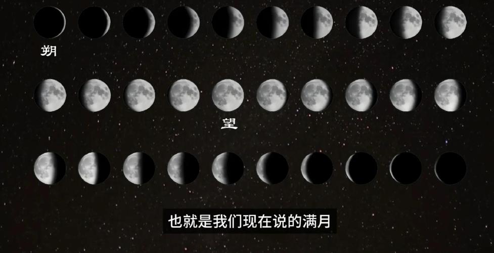 深度解析：失落的月亮官方网站的魅力与潜能