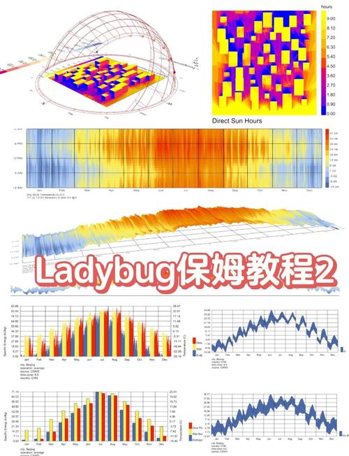 深度分析：如何下载女忍花梨及其背后的技术支持