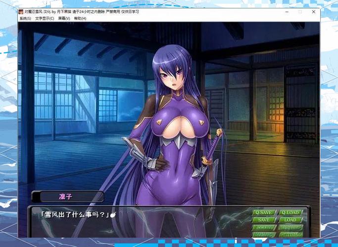 对魔忍雪风游戏攻略：深度解析与实用建议