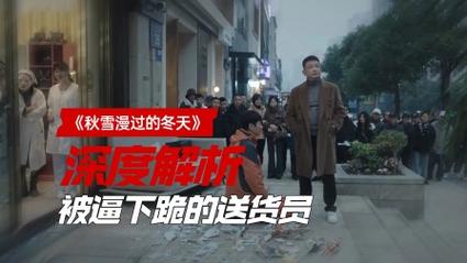 深度解析：爆汝送货员安卓汉化的魅力与挑战