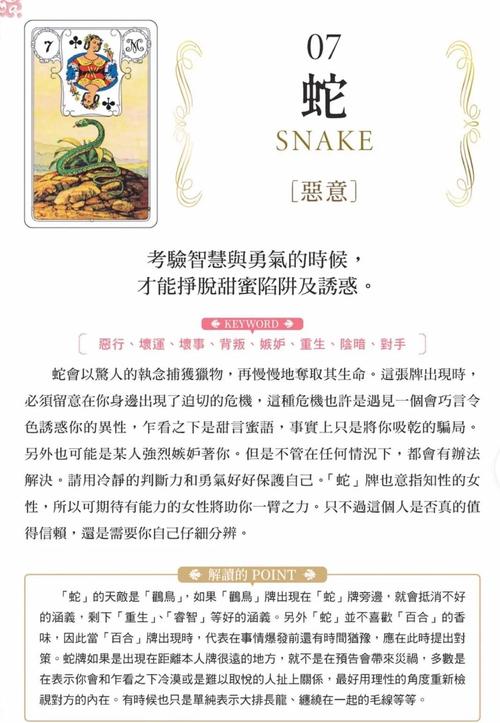 深入解析Rinapo游戏的下载及其市场影响