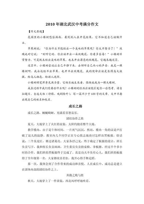 深度解析《成长之路》官方正式版下载最新版的魅力与潜力