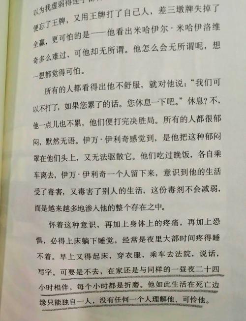 深入分析《死亡之种1最新》：魅力与改进的双重考量