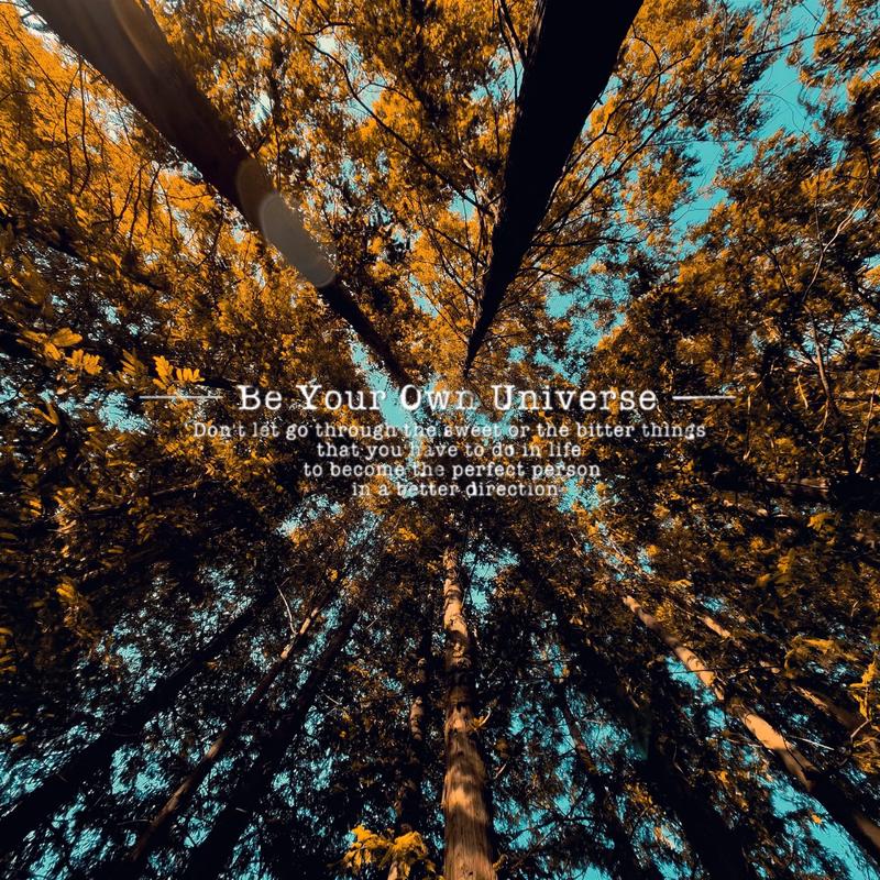 如何查看《森林物语：小小城镇的牧场生》最新版本及更新内容