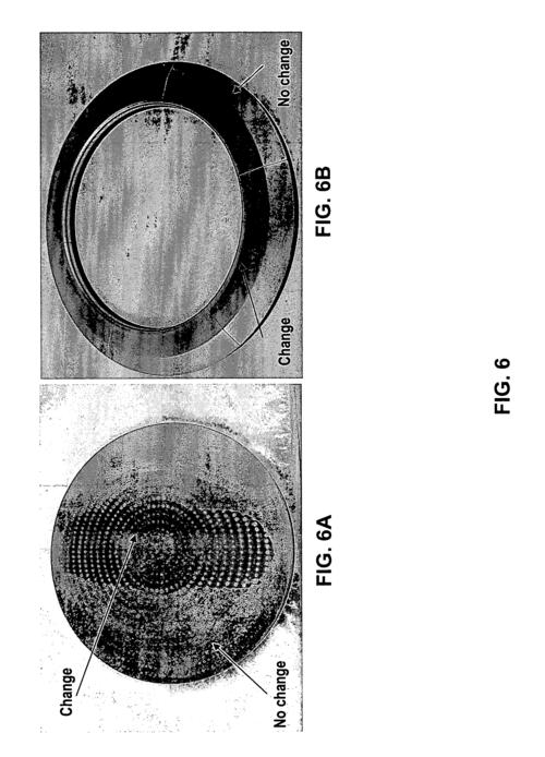 SiliconLust绅士游戏入门教程：从安装到玩法全解析