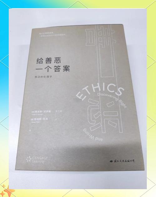 探索道德的界限：深度解析游戏攻略