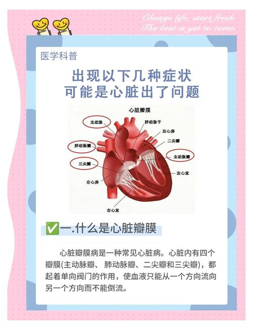 解析心脏问题：最新版本的深度分析与解决方案