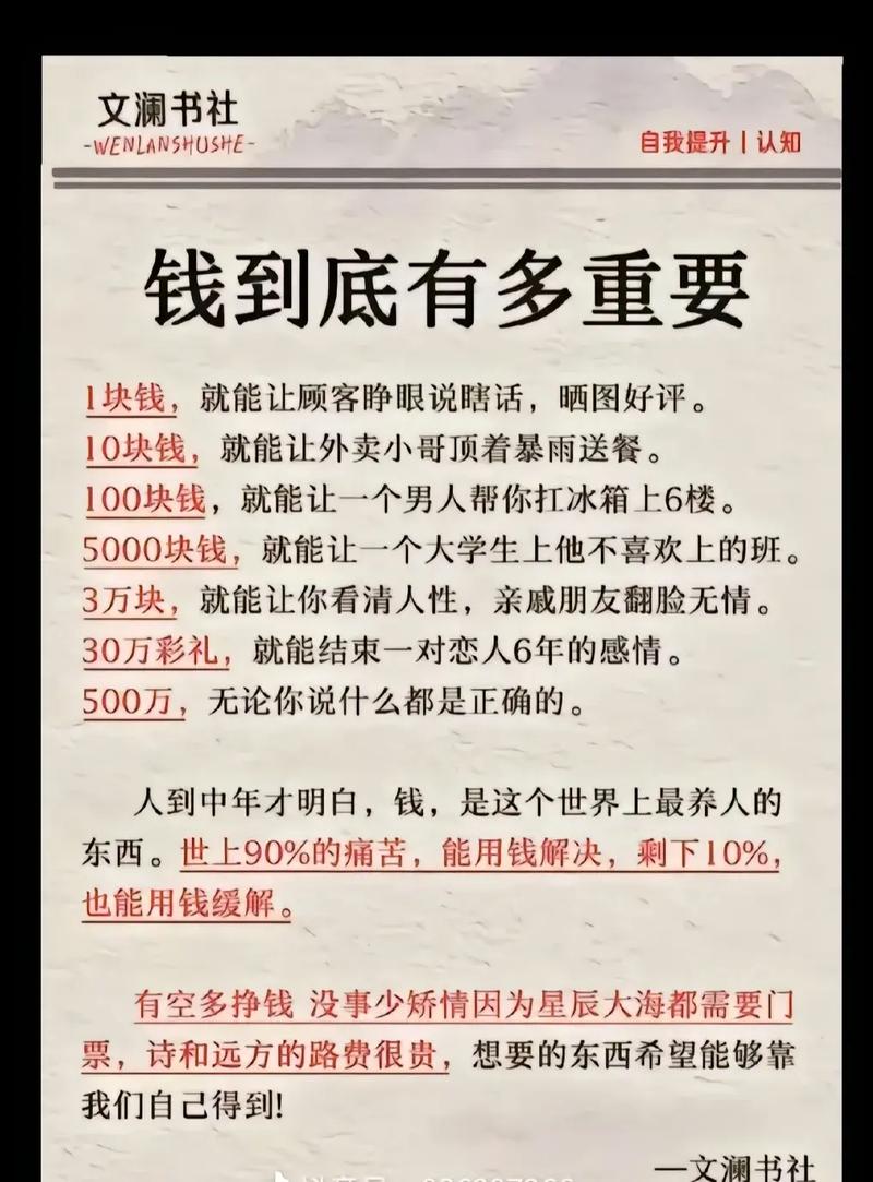 深入分析：没有更多钱汉化版下载的影响与前景