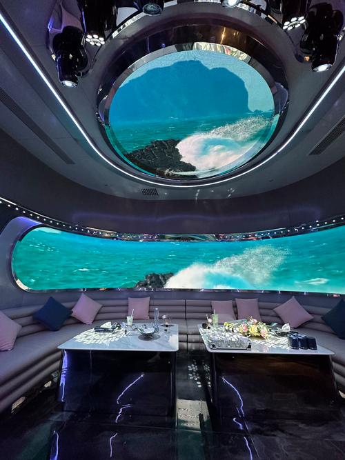 客舱巡游游戏：沉浸式体验与市场前景分析