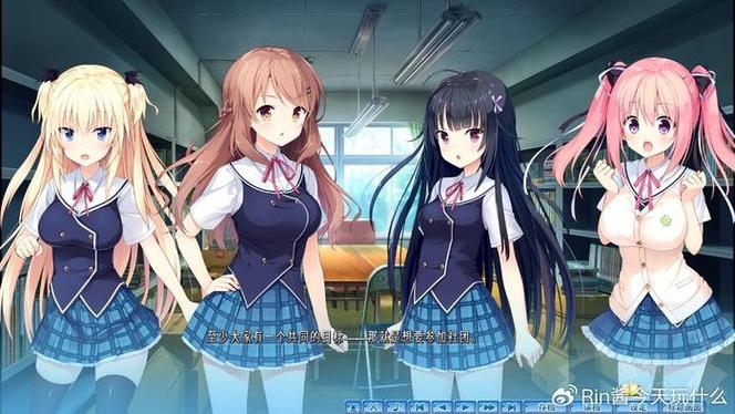 大学时光：绅士游戏对年轻玩家的影响与发展分析