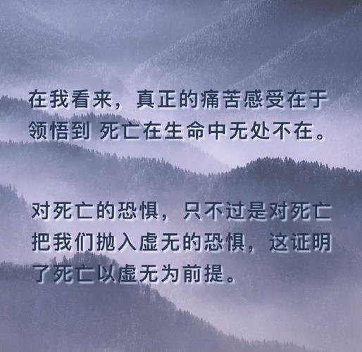 深入探讨：几乎死亡版本大全的全景分析与启示