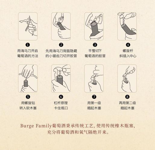 如何有效使用SiliconLust官网：新手指南