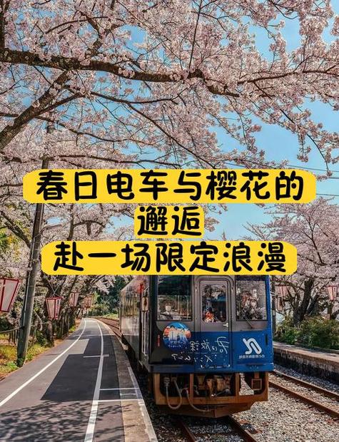 深度分析：邂逅电车游戏官网的游戏机制与用户体验