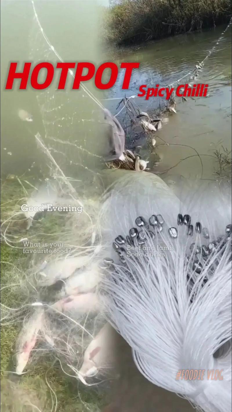 深入分析：渔网亡灵最新版本的游戏机制与玩家体验