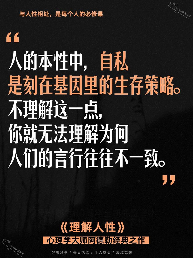 探索道德的界限：深度解析游戏攻略