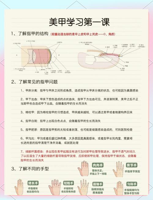 新手教程：如何使用菈菲莉卡的封印之楔游戏官网
