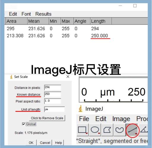 如何使用项目Project游戏官网进行游戏体验的完全指南
